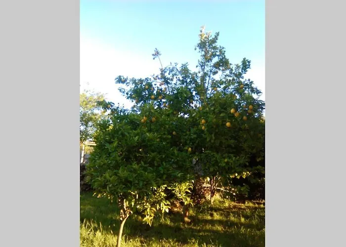 Casa Do Carballal Pontecesures